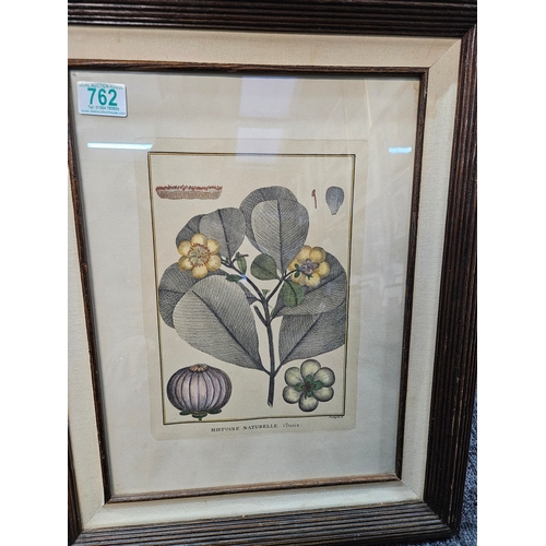 762 - A pair of French botanical prints 

55cm x 44cm