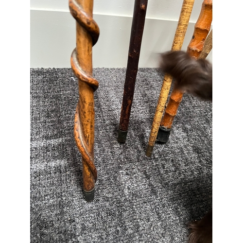 320 - Group of 5 walking sticks