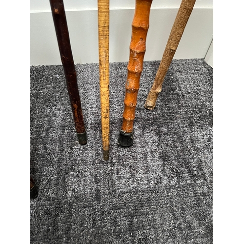 320 - Group of 5 walking sticks