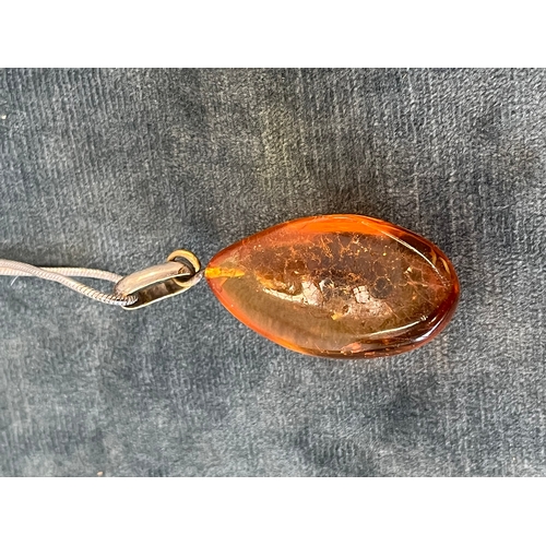 512 - Amber pendant with an internal bug on a silver chain and a silver and natural amber necklace pendant... 