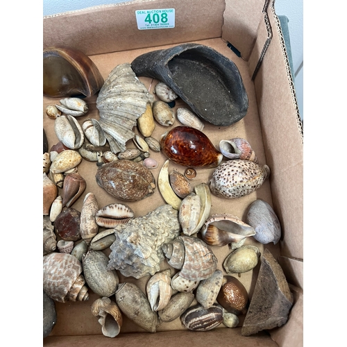 408 - Box of miscellaneous shells