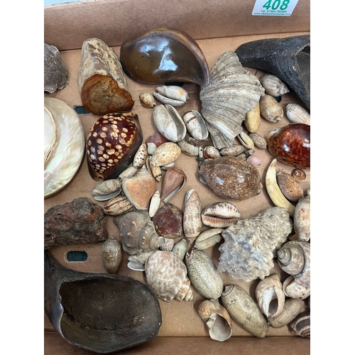 408 - Box of miscellaneous shells