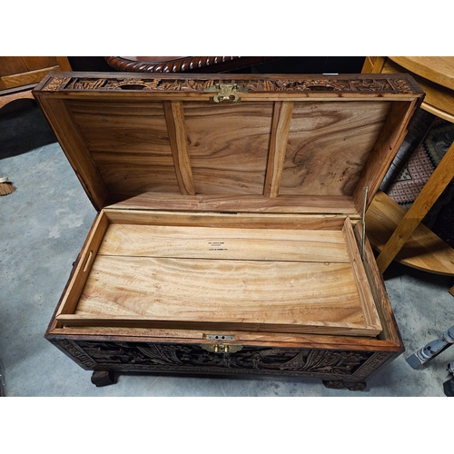 17 - Camphor wood carved oriental trunk