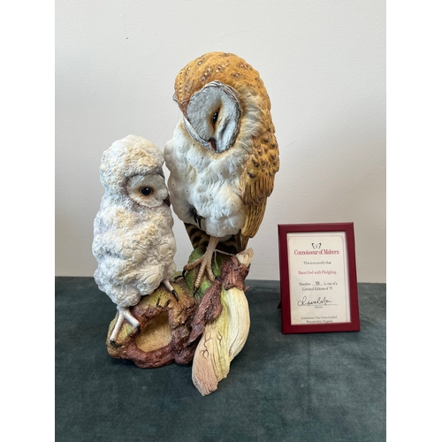 164 - Large Connoisseur of Malvern 

Barn Owl with Fledging 

Limited edition