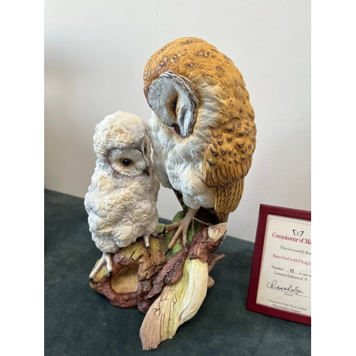 164 - Large Connoisseur of Malvern 

Barn Owl with Fledging 

Limited edition