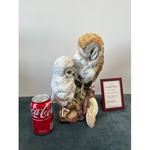 164 - Large Connoisseur of Malvern 

Barn Owl with Fledging 

Limited edition