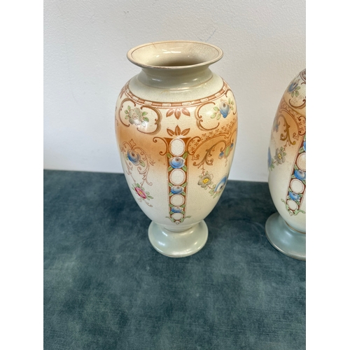 195 - 2 x Porcelain vases decorated with flowers