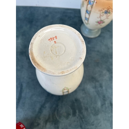 195 - 2 x Porcelain vases decorated with flowers