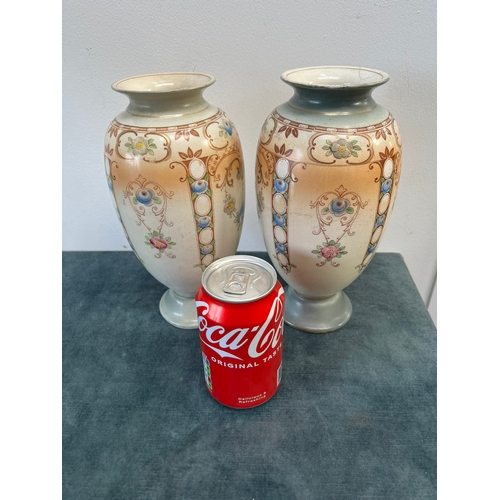 195 - 2 x Porcelain vases decorated with flowers