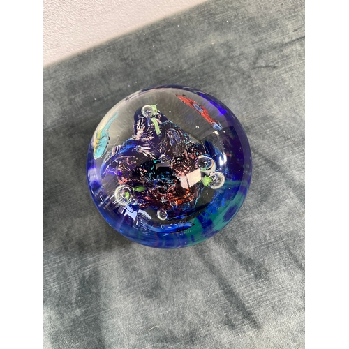 198 - Large Murano glass fish aquarium paperweight