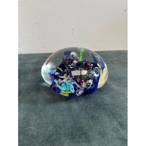 198 - Large Murano glass fish aquarium paperweight