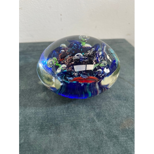 198 - Large Murano glass fish aquarium paperweight