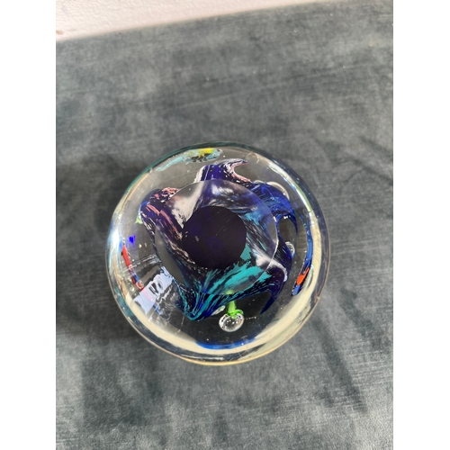 198 - Large Murano glass fish aquarium paperweight