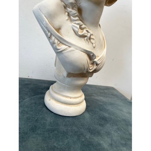 301 - Plaster bust of a lady