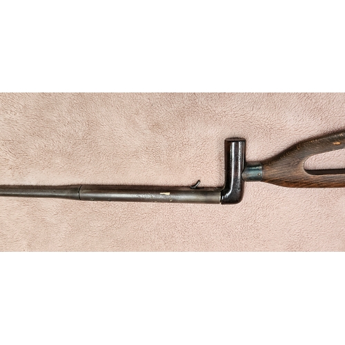 Antique Cane walking stick gun or poachers Gun with skeleton stock ...