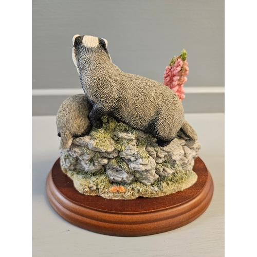 24 - Border Fine Arts 'Badger Family' B0221 On Wood Base