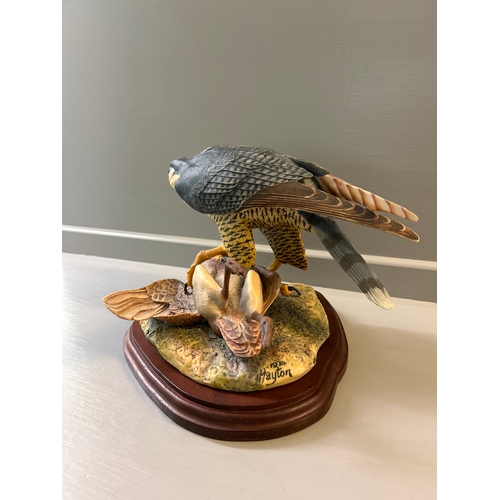 33 - Border Fine Arts ‘Peregrine Falcon’ L01 By Victor Hayton Limited Edition 142/250 On Wood Base With C... 