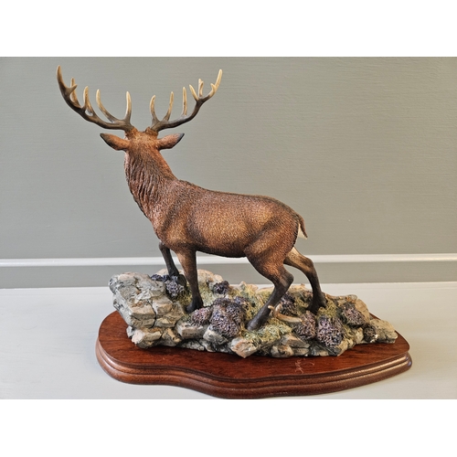 26 - Border Fine Arts ' Highland Majesty' B0220 By R Roberts On Wood Base