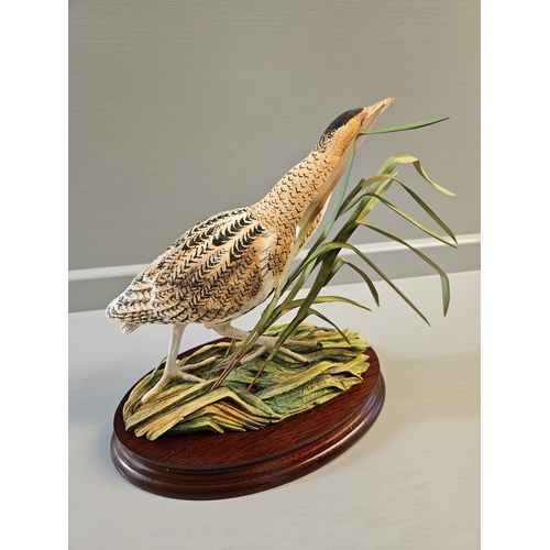 29 - Border Fine Arts 'Bittern' B1147 Limited Edition 50/250 Signed By R Ayres On Wood Base  With Certifi... 