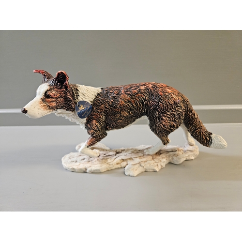 352 - Border Fine Arts Contemporary 'Border Collie' B1535 By K Sherwin With Box VAT Will Be Charged On Thi... 