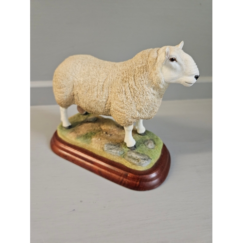 177 - Border Fine Arts North Country Cheviot Ram