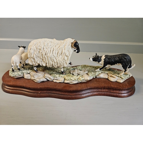 174 - Border Fine Arts 'Blackfaced Ewe And Collie' 104