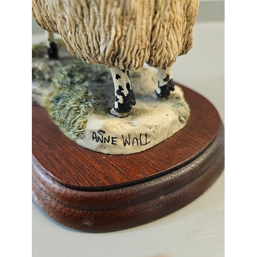 180 - Border Fine Arts 'Blackface Tup' 169 By A Wall On Wood Base