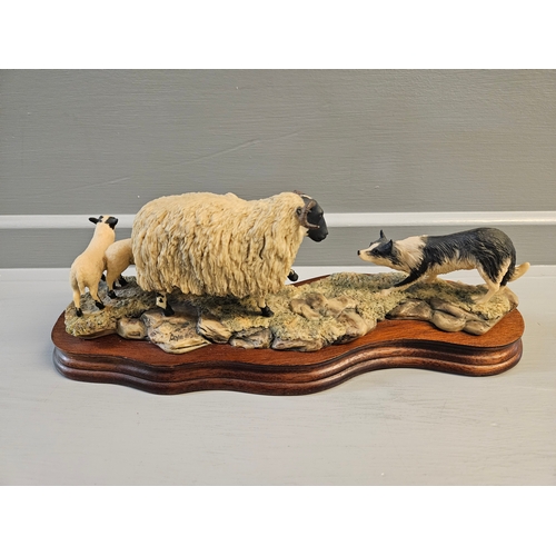 207 - Border Fine Arts 'Blackfaced Ewe And Collie' 104 By R Ayres On Wood Base