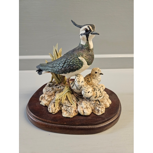 350 - Border Fine Arts 'Lapwing' RB38 By R Ayres On Wood Base