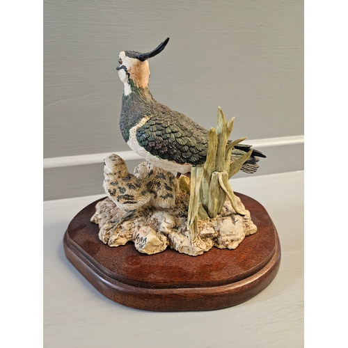 350 - Border Fine Arts 'Lapwing' RB38 By R Ayres On Wood Base