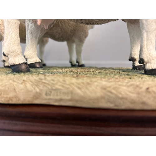 182 - Border Fine Arts. ‘Texel Ewe And Lambs’ By Jack Crewdson B0658 Limited Edition 67/1500 On Wood Base ... 