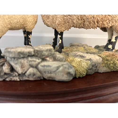 186 - Border Fine Arts ‘Swaledale Ewe And Lamb' B0307 By R Ayres Limited Edition 936/1250 On Wood Base Wit... 