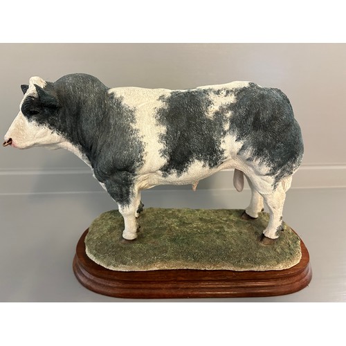 293 - Border Fine Arts 'Belgian Blue Bull' B0833 By Jack Crewdson Limited Edition 80/500 On Wood Base