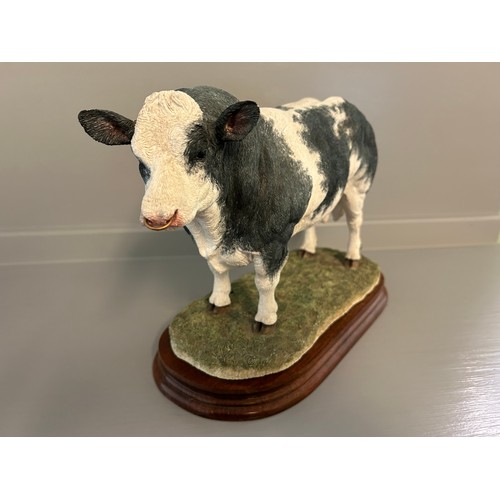 293 - Border Fine Arts 'Belgian Blue Bull' B0833 By Jack Crewdson Limited Edition 80/500 On Wood Base