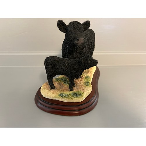 303 - Border Fine Arts 'Galloway Cow And Calf' (Black) A3790 On Wood Base With Box