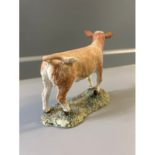 306 - Border Fine Arts ‘Simmental Calf’ 103 By R Ayres