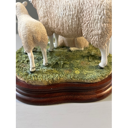 191 - Border Fine Arts ‘Lleyn Ewe And Lambs’ B0975 By R Ayres Limited Edition 402/500 On Wood Base