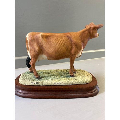 296 - Border Fine Arts ‘Jersey Cow’ L110 By R Ayres Limited Edition 66/1250 On Wood Base