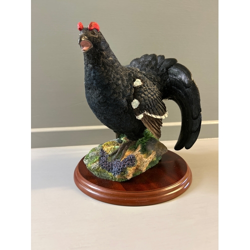 272 - Border Fine Arts ‘Blackcock’ A1278 By Russell Willis On Wood Base With Box