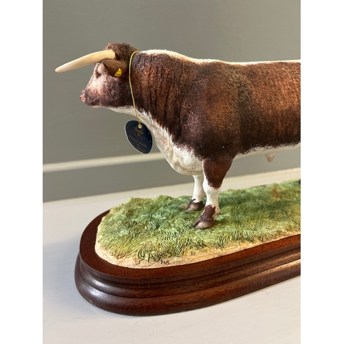 299 - Border Fine Arts ‘Longhorn Bull’ B1138 By R Ayres Limited Edition 111/500 With Box On Wood Base