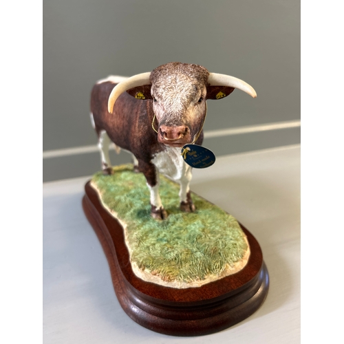 299 - Border Fine Arts ‘Longhorn Bull’ B1138 By R Ayres Limited Edition 111/500 With Box On Wood Base