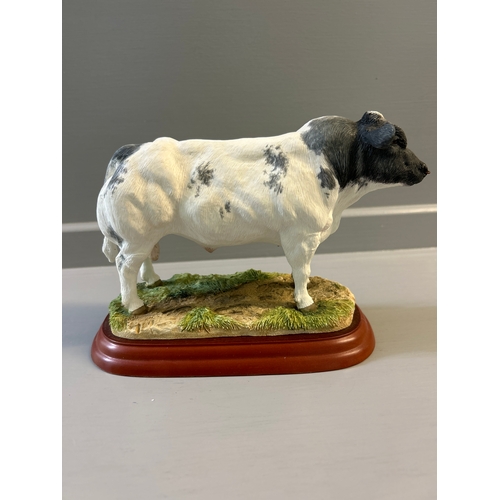 311 - Border Fine Arts ‘Belgian Blue Bull’ A0742 On Wood Base