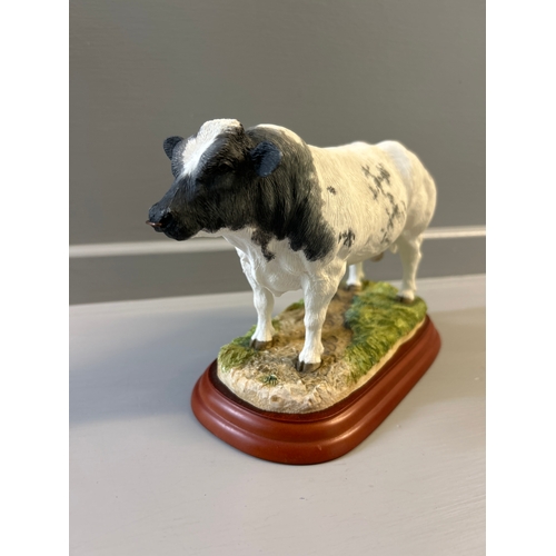 311 - Border Fine Arts ‘Belgian Blue Bull’ A0742 On Wood Base