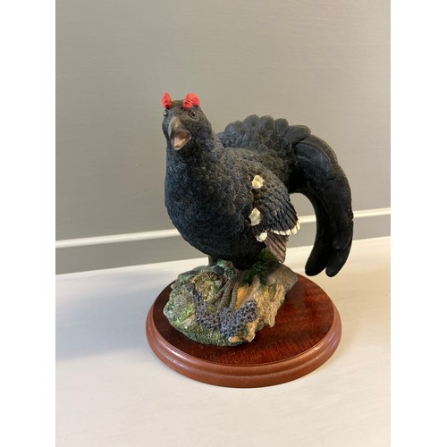 332 - Border Fine Arts 'Blackcock' A1278 By Russell Willis On Wood Base (H23cm)