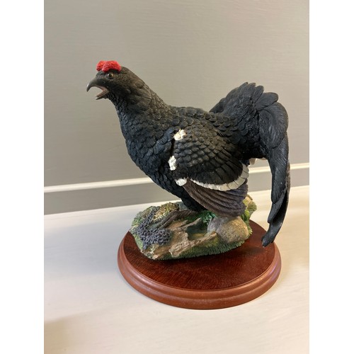 332 - Border Fine Arts 'Blackcock' A1278 By Russell Willis On Wood Base (H23cm)