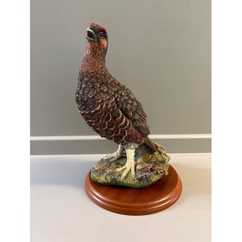 333 - Border Fine Arts ‘Red Grouse’ A1279 By Russell Willis On Wood Base