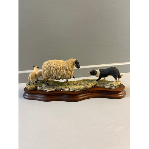 196 - Border Fine Arts ‘Scottish Blackface Ewe And Collie’ 104 By R Ayres On Wood Base