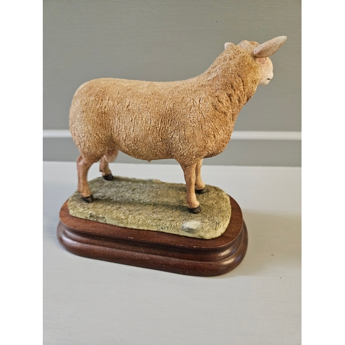 204 - Border Fine Arts 'Charollais Ram' B0774 By R Ayres Limited Edition  417/750 On Wood Base With Certif... 