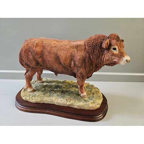 295 - Border Fine Arts 'Limousin Bull' B0531 By J Crewdson Limited Edition 39/750 With Certificate On Wood... 