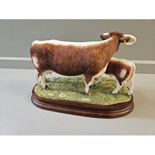 300 - Border Fine Arts 'Longhorn Cow And Calf' B0993 By R Ayres Limited Edition 300/500 On Wood Base With ... 